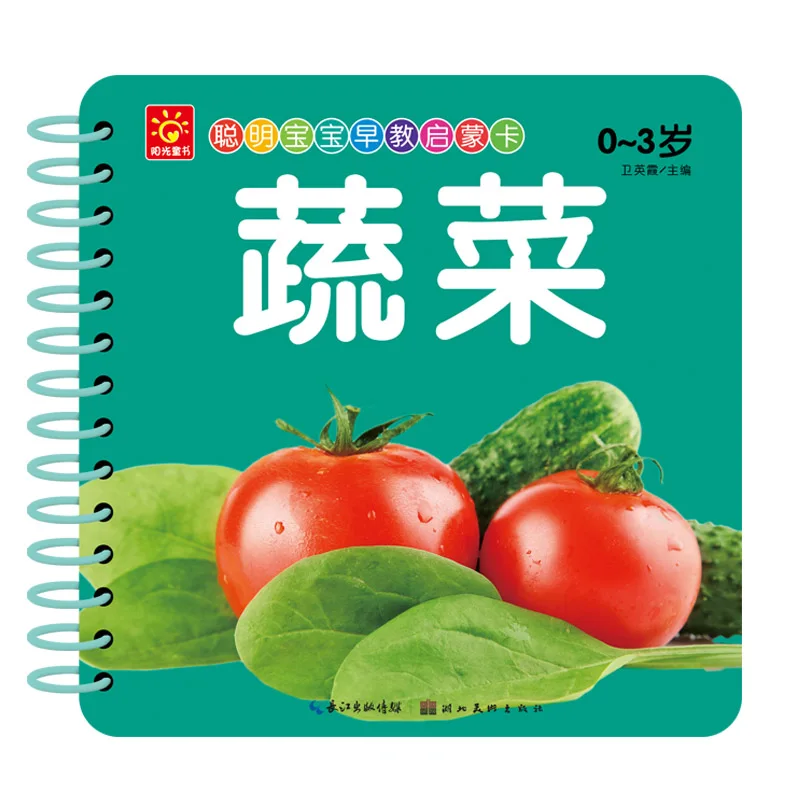 Conjunto de 10 cartas para aprendizagem de crianças, livro com pinyin inglês, livro chinês de personagens hanzi, cartões de frutas de animais para pessoas