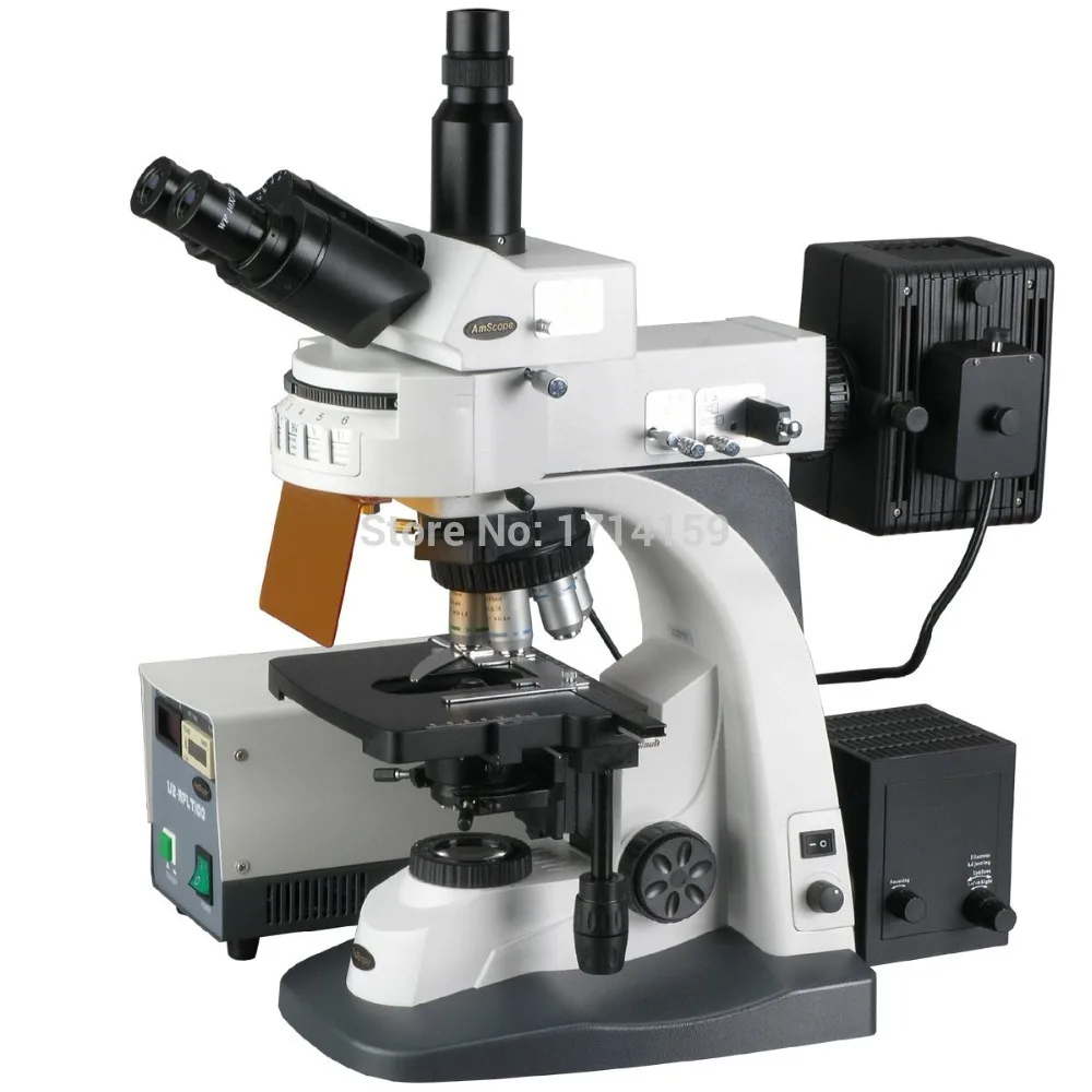 application in biology-AmScope Supplies 40X-1000X Infinity Plan EPI Fluorescent Microscope with Extreme Widefield Optics