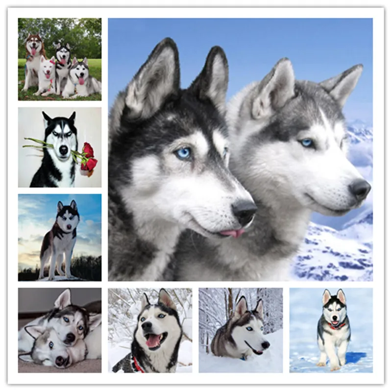 DIY Diamond Painting Cross-Stitch Animal Dog Mosaic Crystal Interesting husky Kit Embroidery Picture Rhinestone craft 2019 new