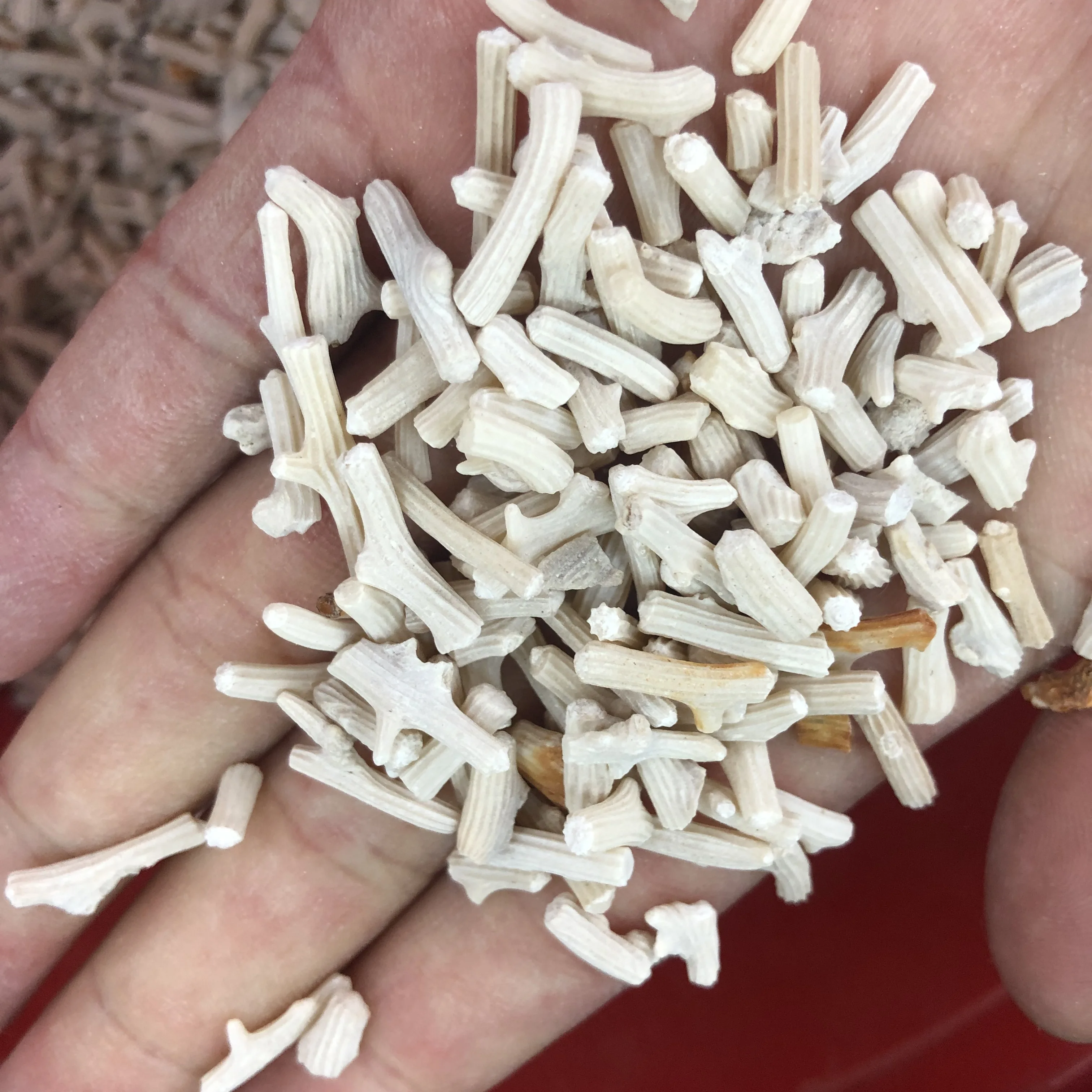 100g natural white coral stone gravel