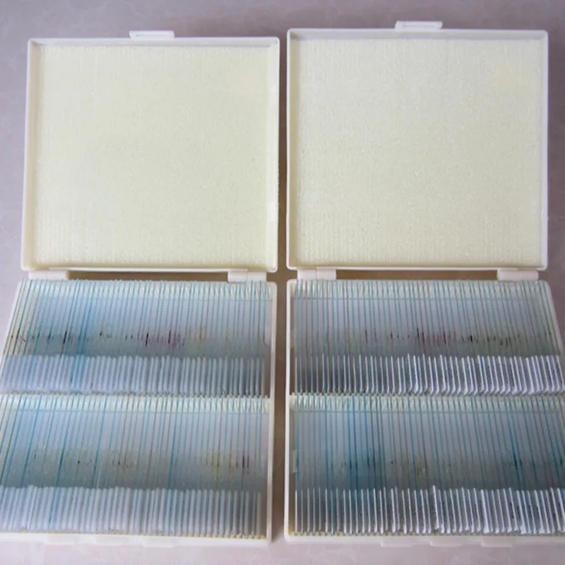 

200pcs Professional Biological Microscope Lab Laboratory Plant Animal Insect Prepared Specimen Glass Microscope Slides