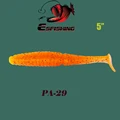 PA29