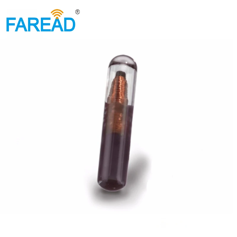80pcs 1.4*8mm 134.2KHz 애완 동물 ID 태그 EM4305 RFID 마이크로 칩 동물 칩 트랜스 폰더 개를위한 ICAR 번호 코딩 물고기 가축