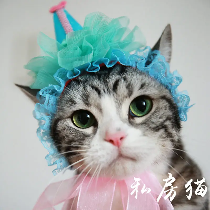 [MPK Cat Headwear] Beautiful Cat Hat, Pet Hair Accessories, Cat Headwear, Pet Birthday Hat, Cat Birthday Crown