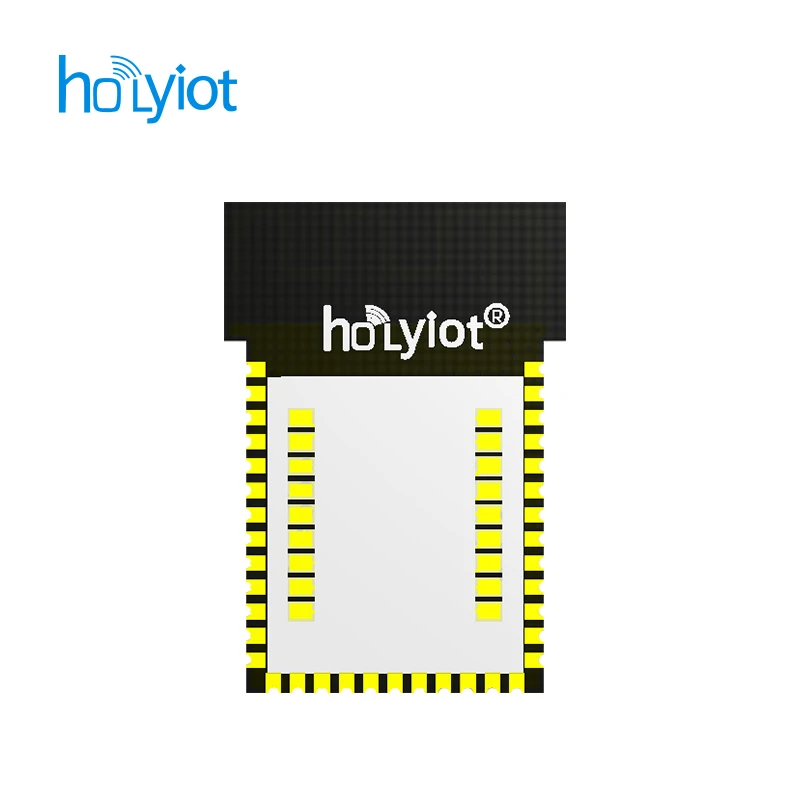 Holyiot nRF52840 module Bluetooth low energy long range 500 meters bluetooth 5.0 PCB & IPX  Antenna