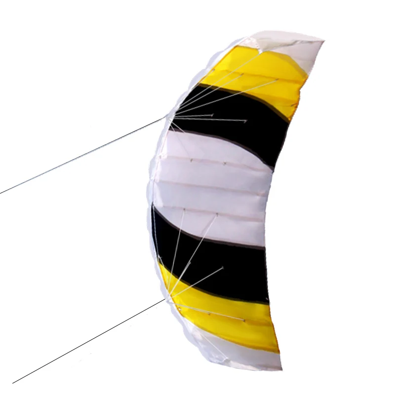 New High Quality 140cm  Dual Line Parafoil Kite With Flying Tools  Power Braid Sailing Kitesurf Sports Beach