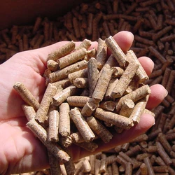 Pellet di legno di mela trucioli di aroma per Barbecue pellet di fumatore speciale pezzi di legno per cucinare Barbecue fumatore griglia carne di pancetta 450g