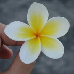 Seashore Beach Artificial Plumeria Foam Flower Hair Clips 3 Sizes Barrettes Women Headwear Hair Accessories