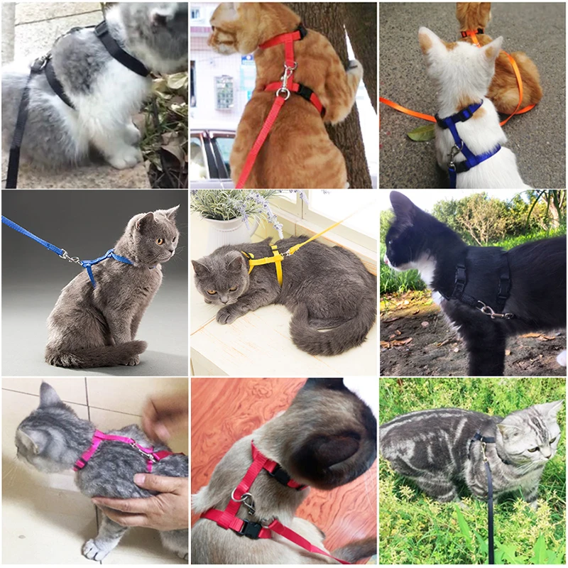 5-kleuren verstelbare kattenhalsband voor katten Gezellig nylon konijn Kitten Kedi harnas Leash Set Hond Kat Accessoires Producten voor huisdieren