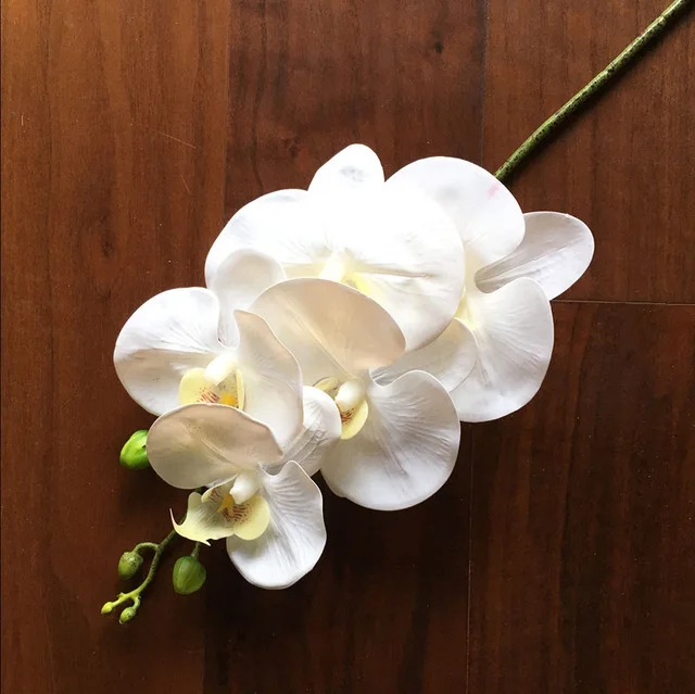5-Heads/branch Artificial Butterfly orchid Phalaenopsis Silicon Real Touch  Latex Orchidee Wedding High Quality