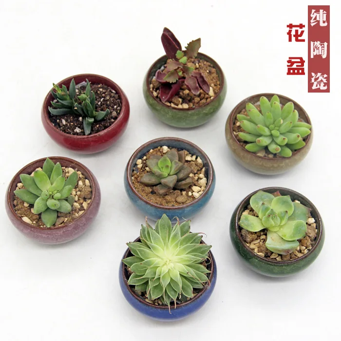 Ice crack ceramic flowerpot  desktop small ceramic handicraft pot meat plant pot container