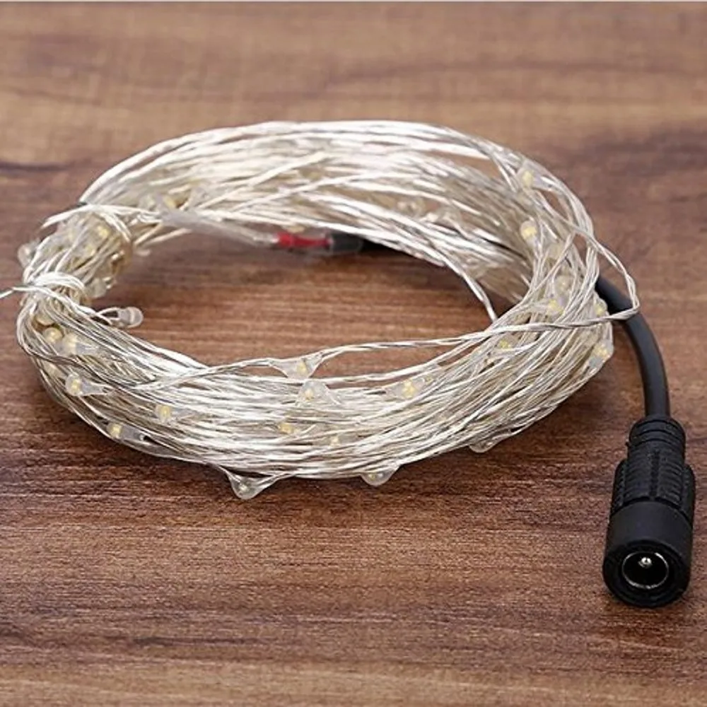 20M/30M Led string Waterproof Flexible Silver Copper Wire for Christmas Party Decoration Patio Outdoor Garden with DC12V Adapter