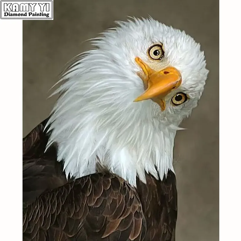 

DIY 5D Full Round&Square Diamond Embroidery Funny Eagle Diamond Painting Cross-stitch Rhinestone Mosaic Decor New Year Gifts