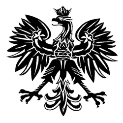 15.2*15.1CM Polish Eagle Poland Symbol Fashion Car Stickers Animal Pattern Car Styling Decal Black/Silver C9-2158