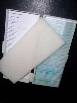 50 pz microslides preparato slides set