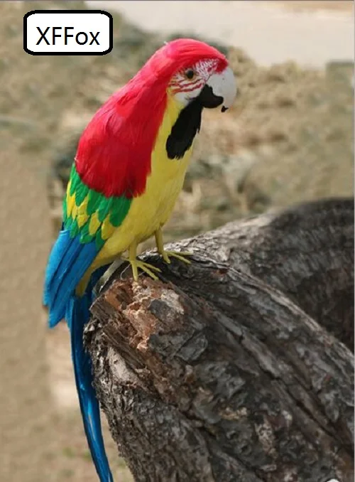 new real life red&yellow parrot model foam&feather cute simulation parrot bird gift about 40cm xf0190