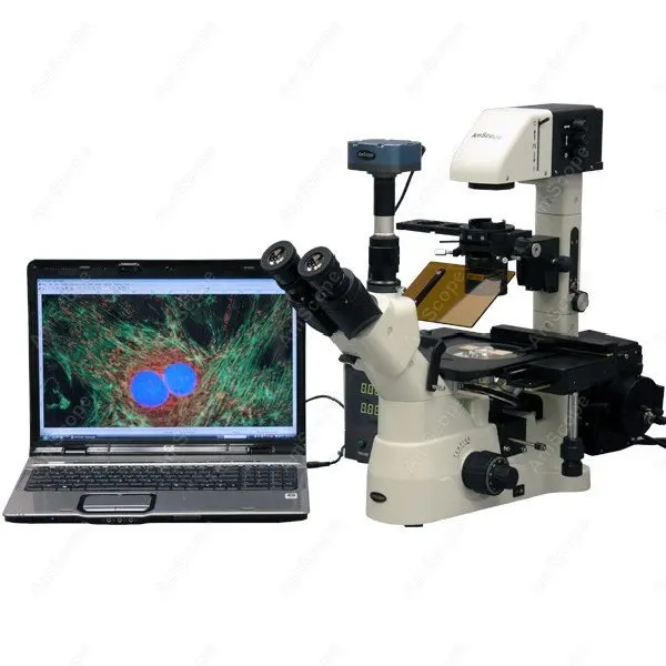 Contrasto di fase-AmScope Forniture 40X-900X Contrasto di Fase Fluorescenza Invertito Microscopio + Fluo Macchina Fotografica SKU: IN480TA-FL-MF