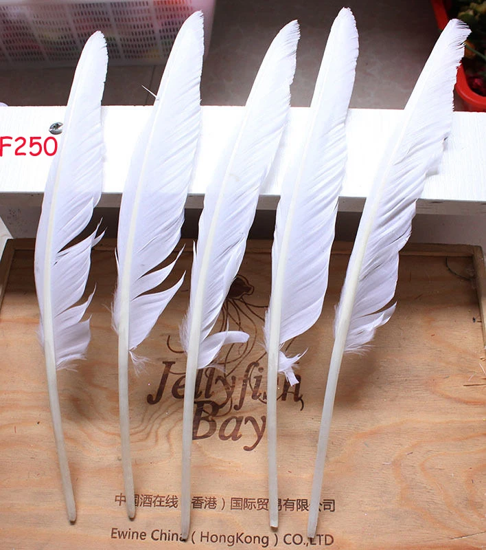 Wholesale 100pcs goose feather humpback 30-35cm/12-14inch /white