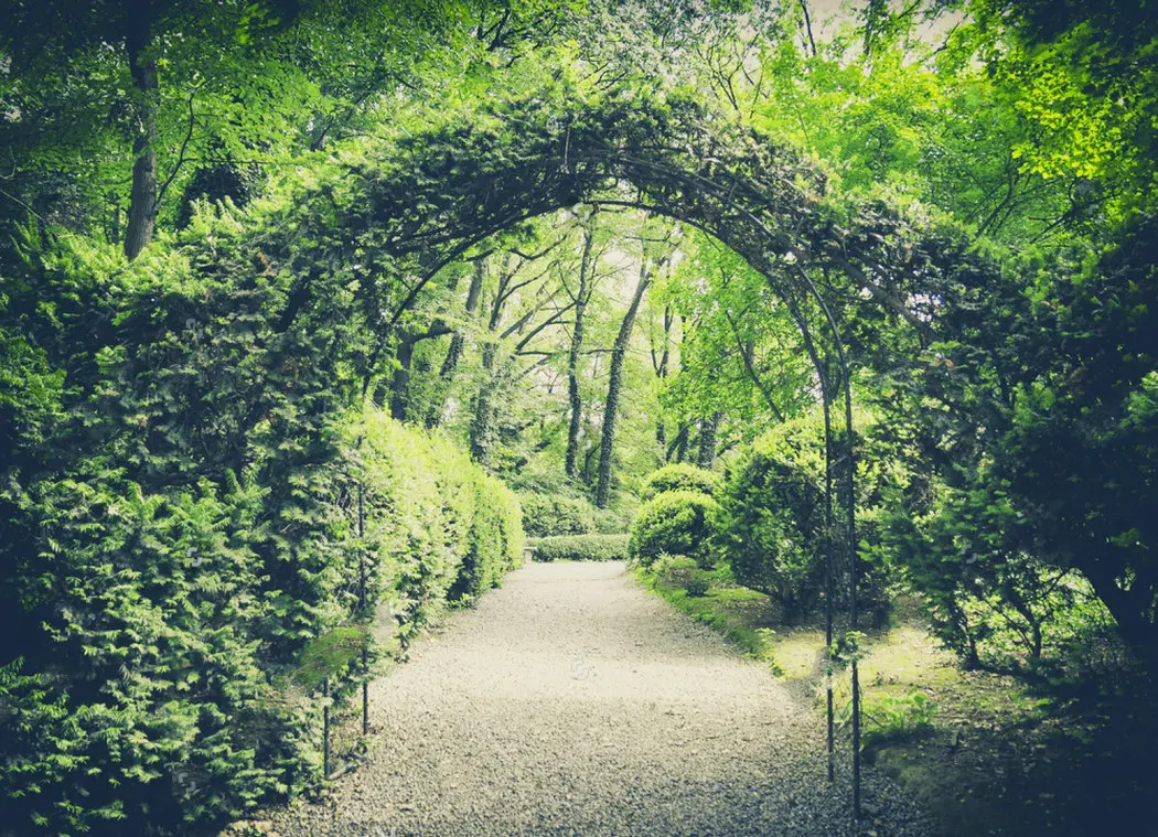 Garden Gate Secret Vintage Spring backdrops Vinyl cloth High quality Computer print wedding photography backgrounds