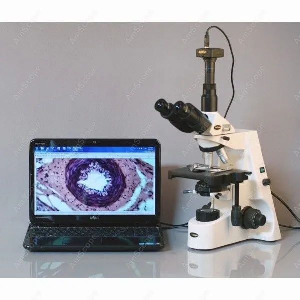 Microscopio trinoculare-AmScope Forniture 40X-2500X Professionale Infinity Trinoculare Microscopio