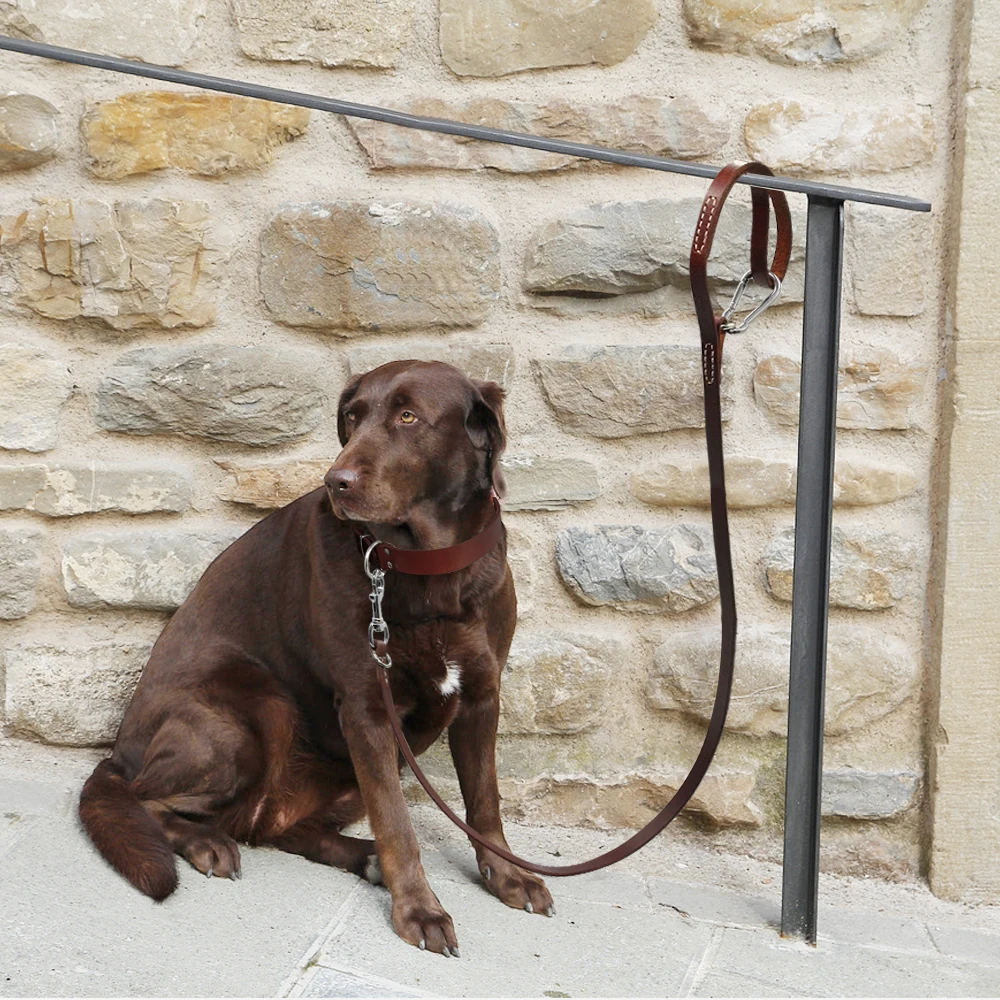 Leather Pitbull Dog Leash Durable Large Dog Leashed with Mountaineering Buckle Outdoor Pet Leads Leashes for Medium Large Dogs