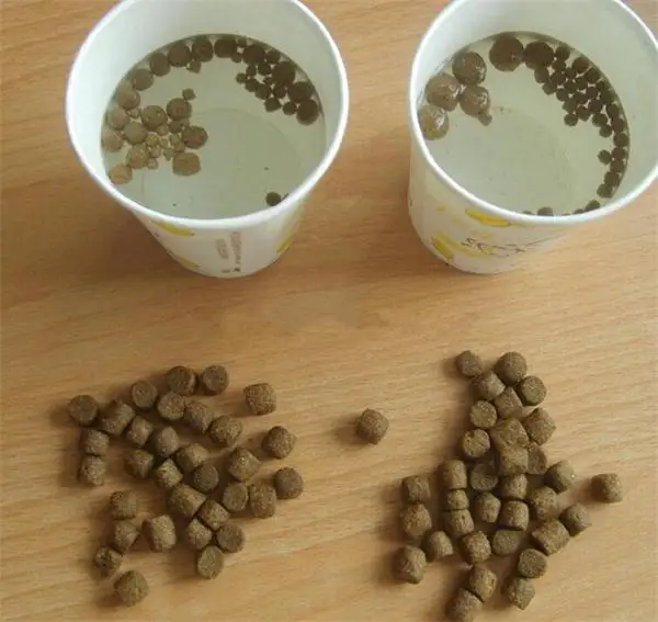 Máquina extrusora de alimentos para peixes com capacidade de 100-150 kg/h