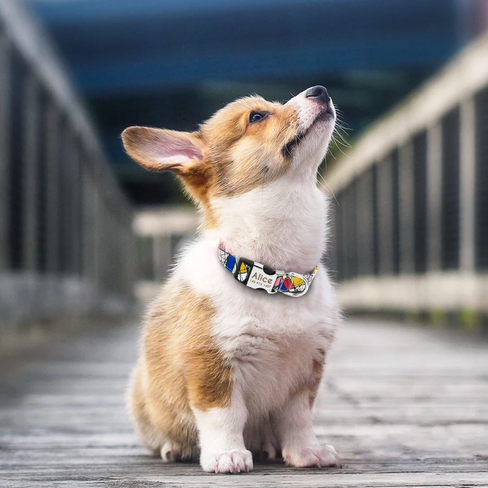 Collar de nailon personalizado para perros pequeños, Collar para Chihuahua, identificación de nombre grabada para mascotas pequeñas, medianas y