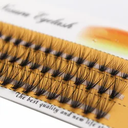 QSTY-Natural Faux Mink False Eye Lashes, Mini Lash Extensions, DIY Cluster Eyelashes, Multipack of 60, 20D Volume