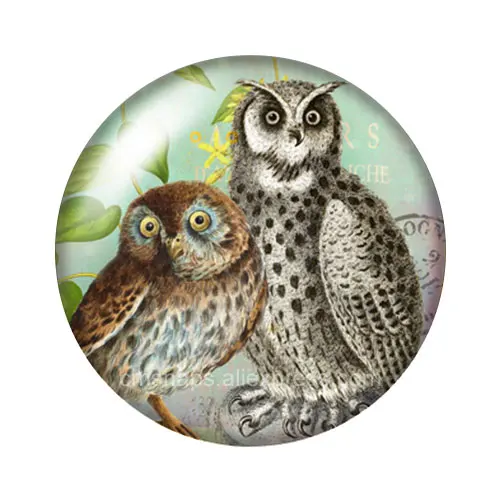 Cabochon en verre avec photo ronde, 10 pièces mélangées, hibou Hope oiseaux, nouveau Style Vintage, 12mm/16mm/18mm/25mm, démo de fabrication à dos plat