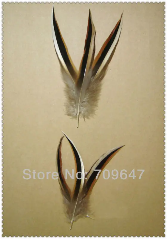 

Feathers for clothes! 100PCS/LOT 9-13CM Natural Tricolor Mallard Duck Tip Feathers, Drake Feather Tips