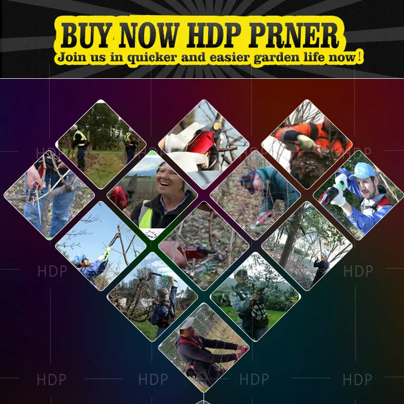 HDP 36-1 pruner ไฟฟ้า (ชุดเครื่องมือครบชุดสำหรับสวนและสวนผลไม้)