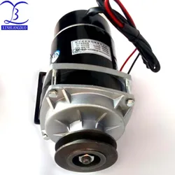 450w 24V/ 36V / 48v belt pulley gear motor ,brush motor   DC gear brushed motor, MY1020ZXF