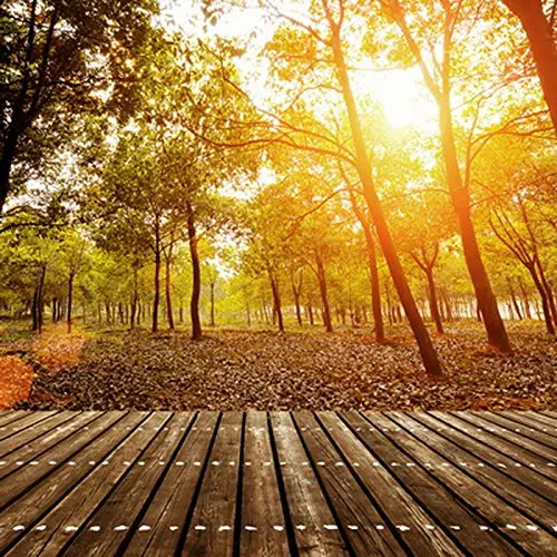 

5x7ft Autumn sunshine photography backdrop background printed with wood floor and forest photo studio wallpaper