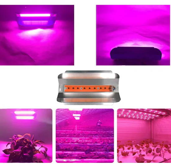 Imagem -02 - Led Cob Tungsten Spectrum Grow Light ic Plant Lights Crescimento Vegetal 380840nm 100w 50w ac 220v 110v Rosa