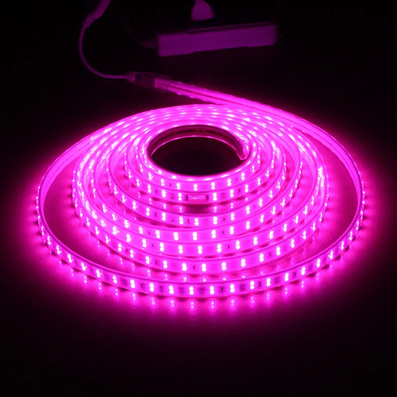 Waterproof LED Strip IP65 LED Tape 120 LEDs/M String Lights SMD2835 Flexible Light Garden Lamp Two Row LED Strips 220V Ribbon