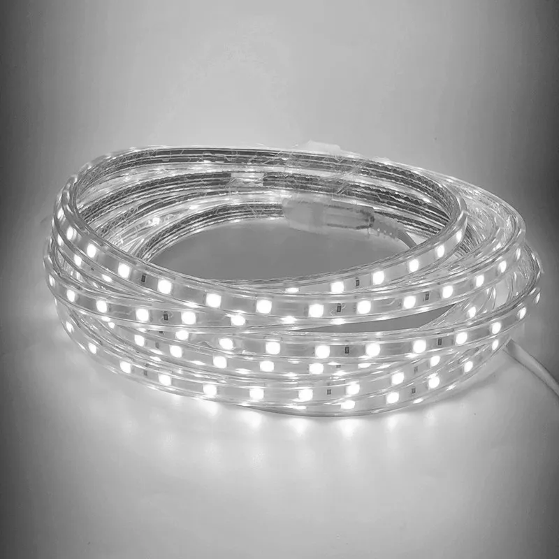 ECLH-tira de luces LED Flexible, 60leds/m, resistente al agua, SMD 5050, CA 220V, enchufe de alimentación de 1M/2M/3M/4M/5M/6M/7M/8M/9M/10M/15M/20M