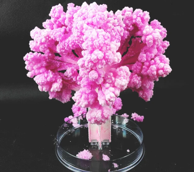 

1PCS Newly 14x11cm Magic Growing Crystals Japanese Sakura Paper Trees Made in Japan Desktop Cherry Blossom Christmas Kids Toys