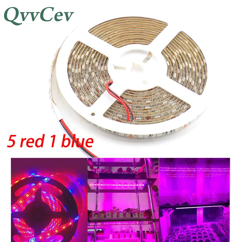 

LED Plant Grow strip Light 5M DC 12V 5 red 1 blue 5050 LED Strip lamp for Greenhouse Plant Growing Aquarium Hydroponics system