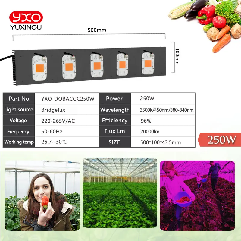 COB Led Grow Flood light 50W 100W 150W 200W 250W AC220V 230V Full spectrum 380-780nm For Seeding Plant With Plug Growth Lamp