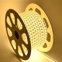 SMD 5050 AC220V Warm White LED Strip Flexible Light 60 led/m Waterproof Led Tape LED Light With Power Plug 100M