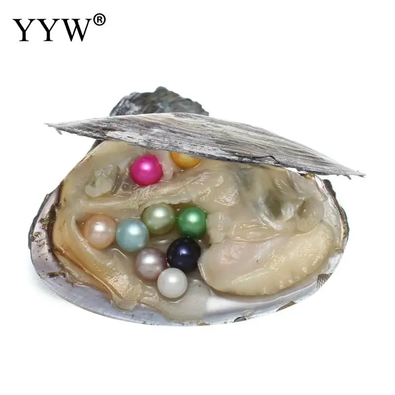 9 colors to choose akoya pearl oysters Genuine Fresh Water Oyster Beads Charm Dyed Beads Jewelry Making Multi Color Beads 7-8 MM