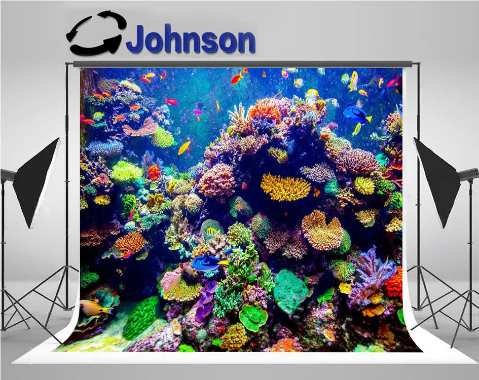 Coral Reef Tropical Fish Sunlight Singapore Aquarium backgrounds  High quality Computer print wall backdrop