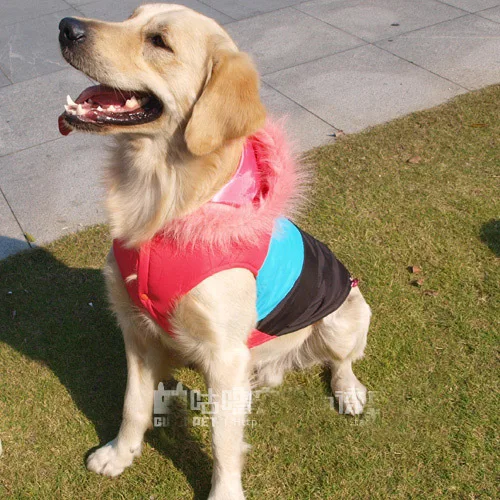 Golden Retriever Multicolour Dog Ski Wear Large Dog Hoody Padding Jacket 2 Colours SZ3XL-4XL