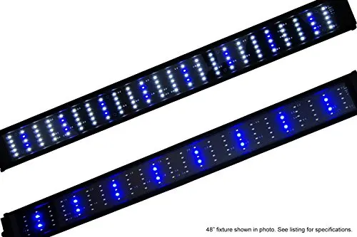 Beamswork DA 0.50W Series LED Pent Aquarium Light Marine FOWLR Cichlid