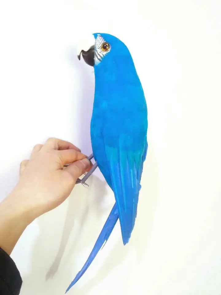 simulation light blue parrot bird hard model polyethylene&feathers large 42cm parrot handicraft decoration gift s1535