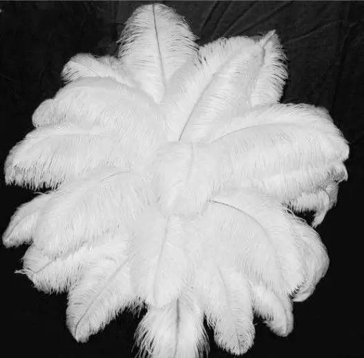 Bulk price 100pcs/lot Elegant White ostrich feathers 15-75cm for craft wedding party supplies Carnival decoration plumages