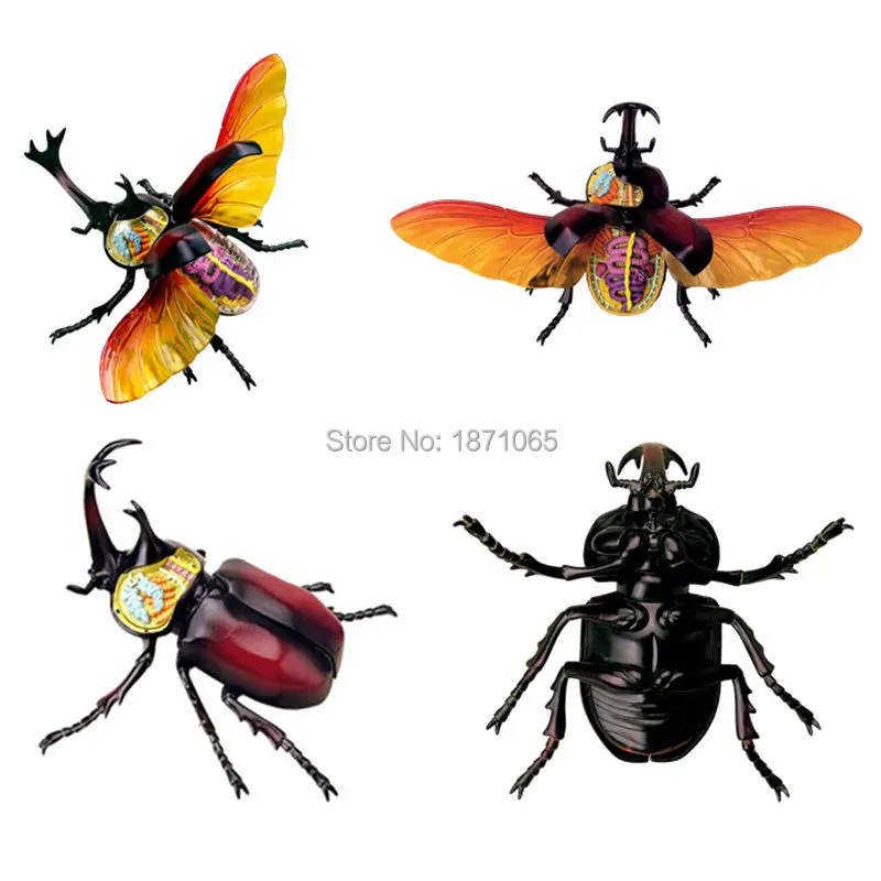 1Pcs Anime 4D Vison MASTER Animal Anatomy Model Frog Scorpion Snail Spider Action Figures Adults Kids Science Toys Gifts