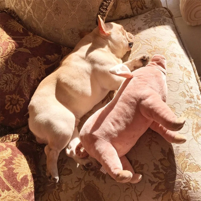 Suínos de brinquedo para animais de estimação, de pelúcia macia, quente, de algodão, para animais de estimação, para cachorro, mastigação/brinquedo