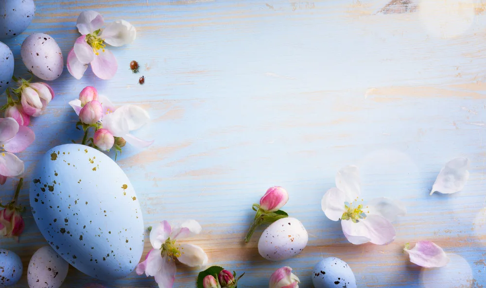 

Easter Eggs Petals Photo Backdrop Background Photography Baby Shower Backdrop E190127A94