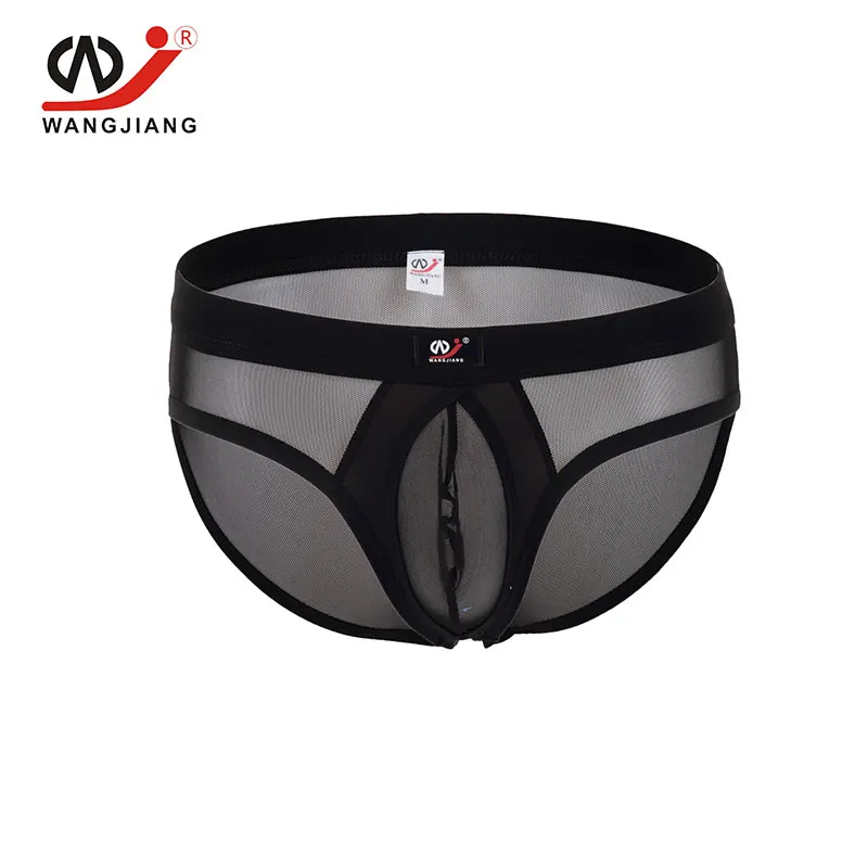 Transparent Mens Sexy Underwear Mens Nylon Briefs Slip Silk Bikini briefs Sexy Gay Underwear Sexy Penis Pouch Gay Mesh 1003 SJ